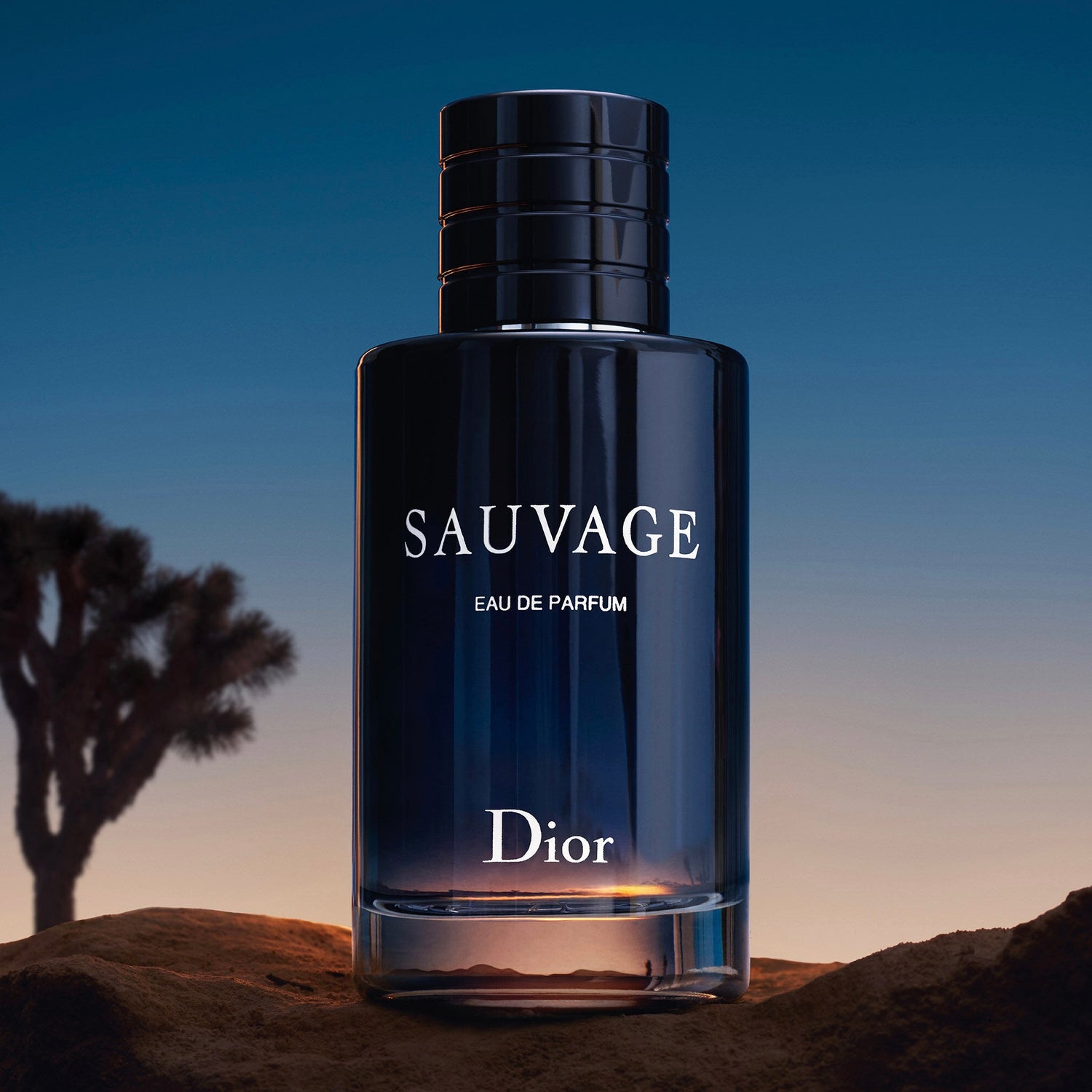 Nước hoa Dior Sauvage EDP chính hãng