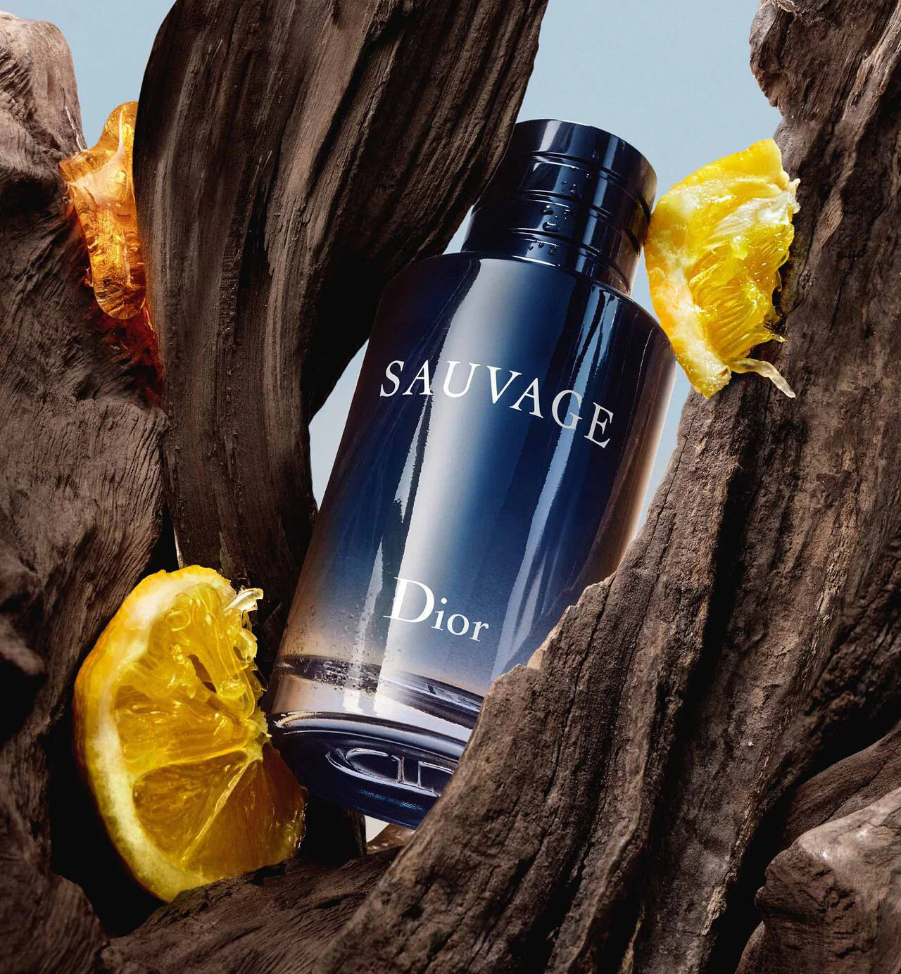 Nước hoa Dior Sauvage EDT chính hãng