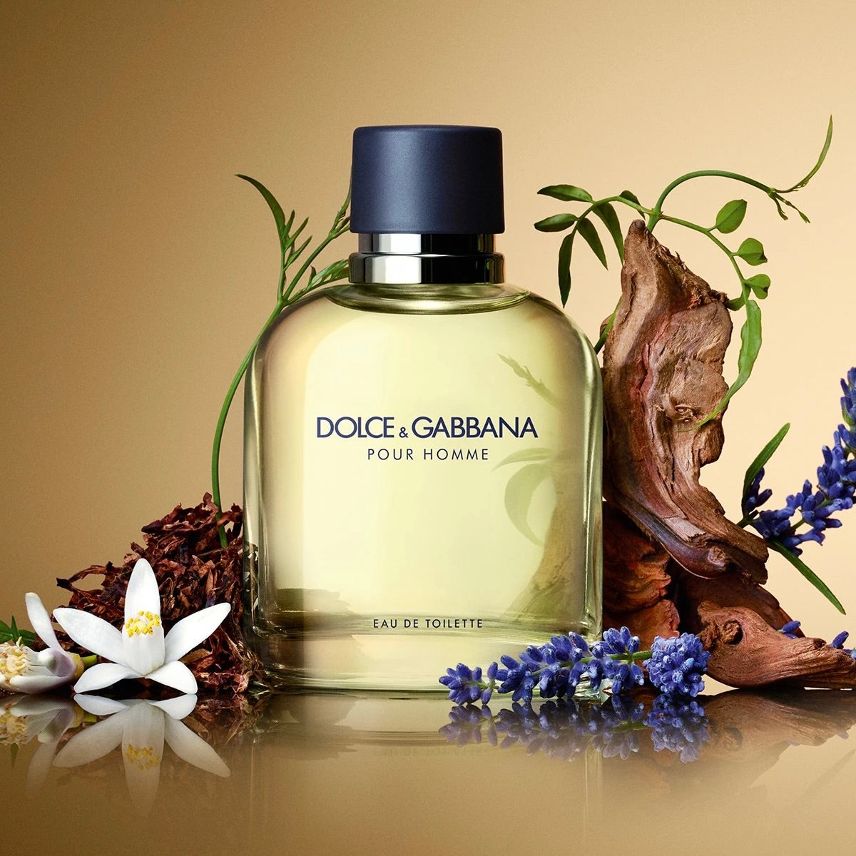 Nước hoa Dolce & Gabbana Pour Homme EDT 