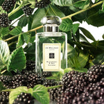 Jo Malone Blackberry & Bay Cologne 