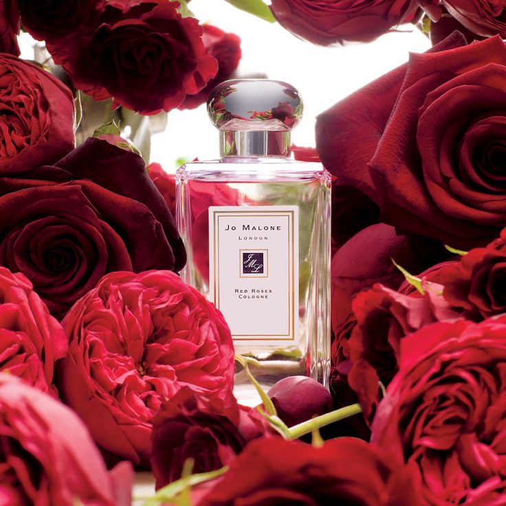 Jo Malone Red Roses Cologne 