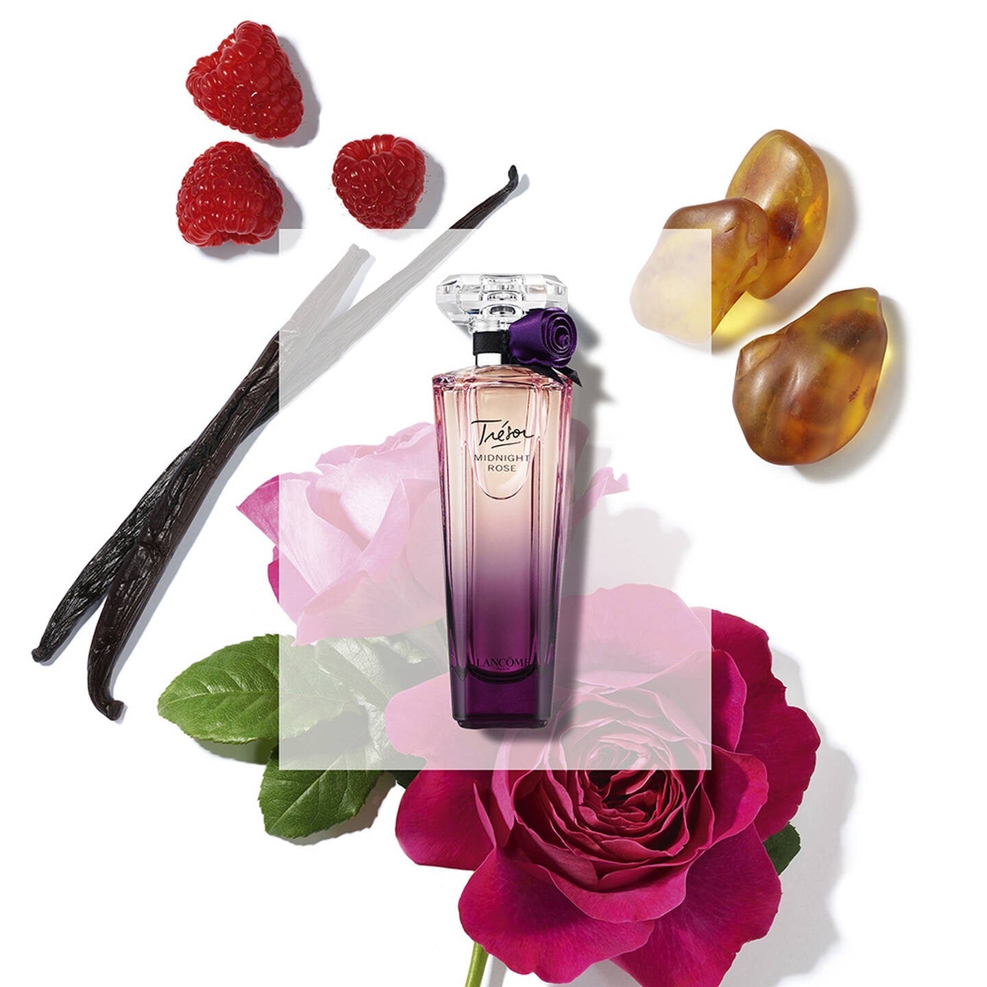 Lancôme Trésor Midnight Rose EDP 