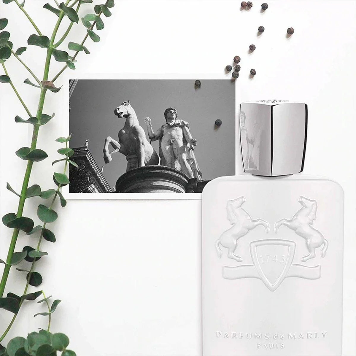 Nước hoa Parfums de Marly Galloway EDP chính hãng