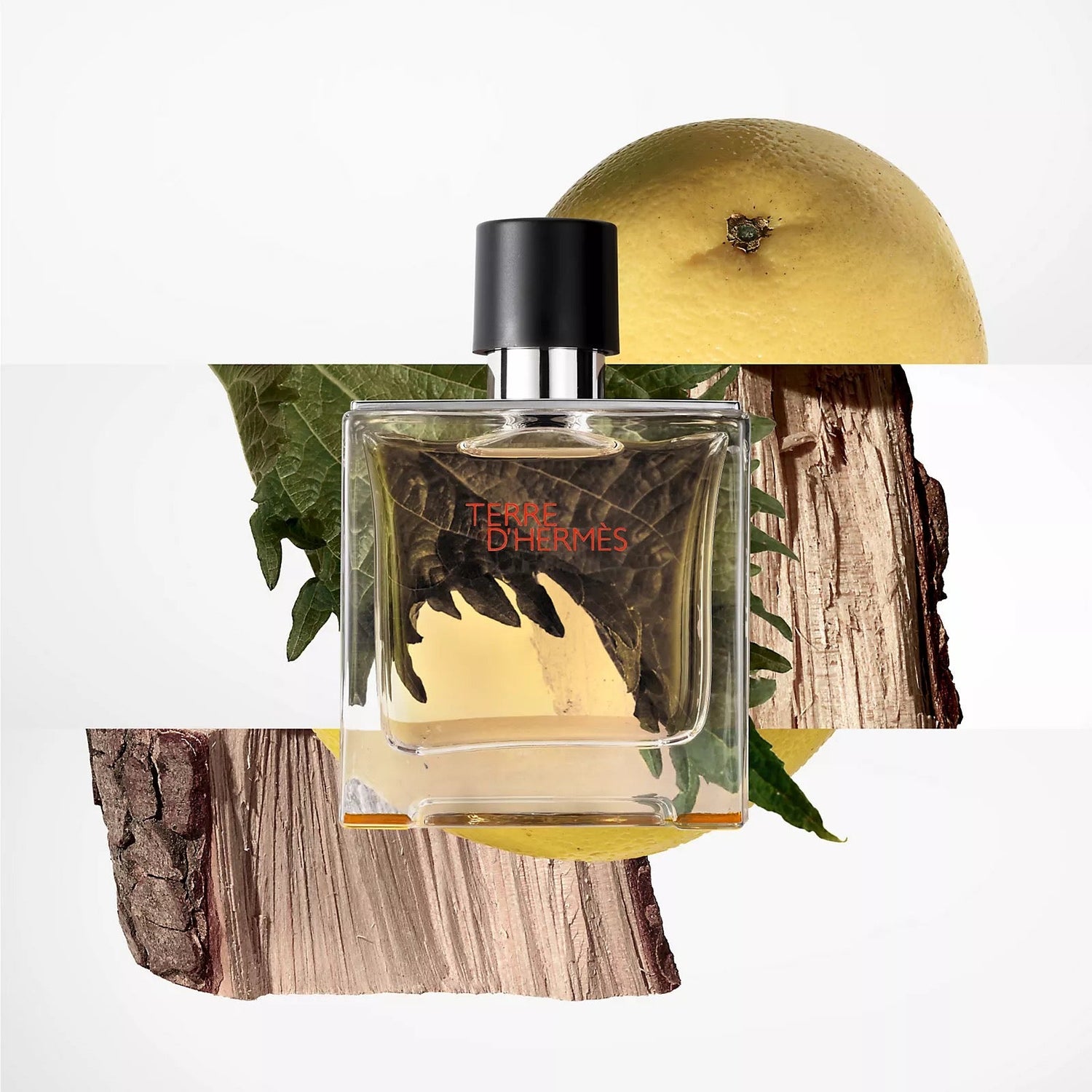 HERMES Terre d’Hermes Parfum